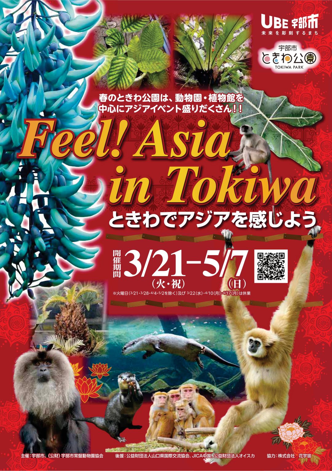 画像：Feel! Asia in Tokiwa ～ときわでアジアを感じよう～ においてパネル出展します！
